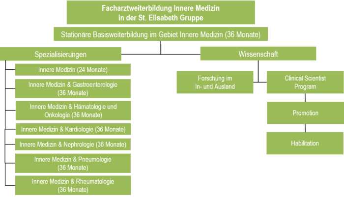 Karrieremodell Facharztausbildung Innere Medizin