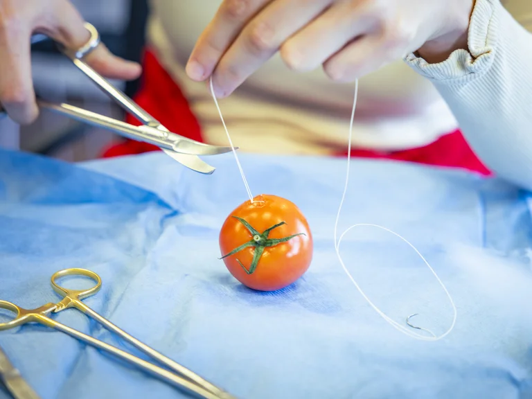 Nähen üben an einer Tomate