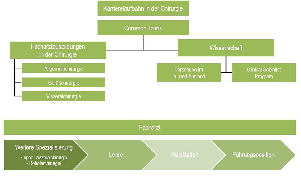 Karrieremodell Facharztausbildung Chirurgie