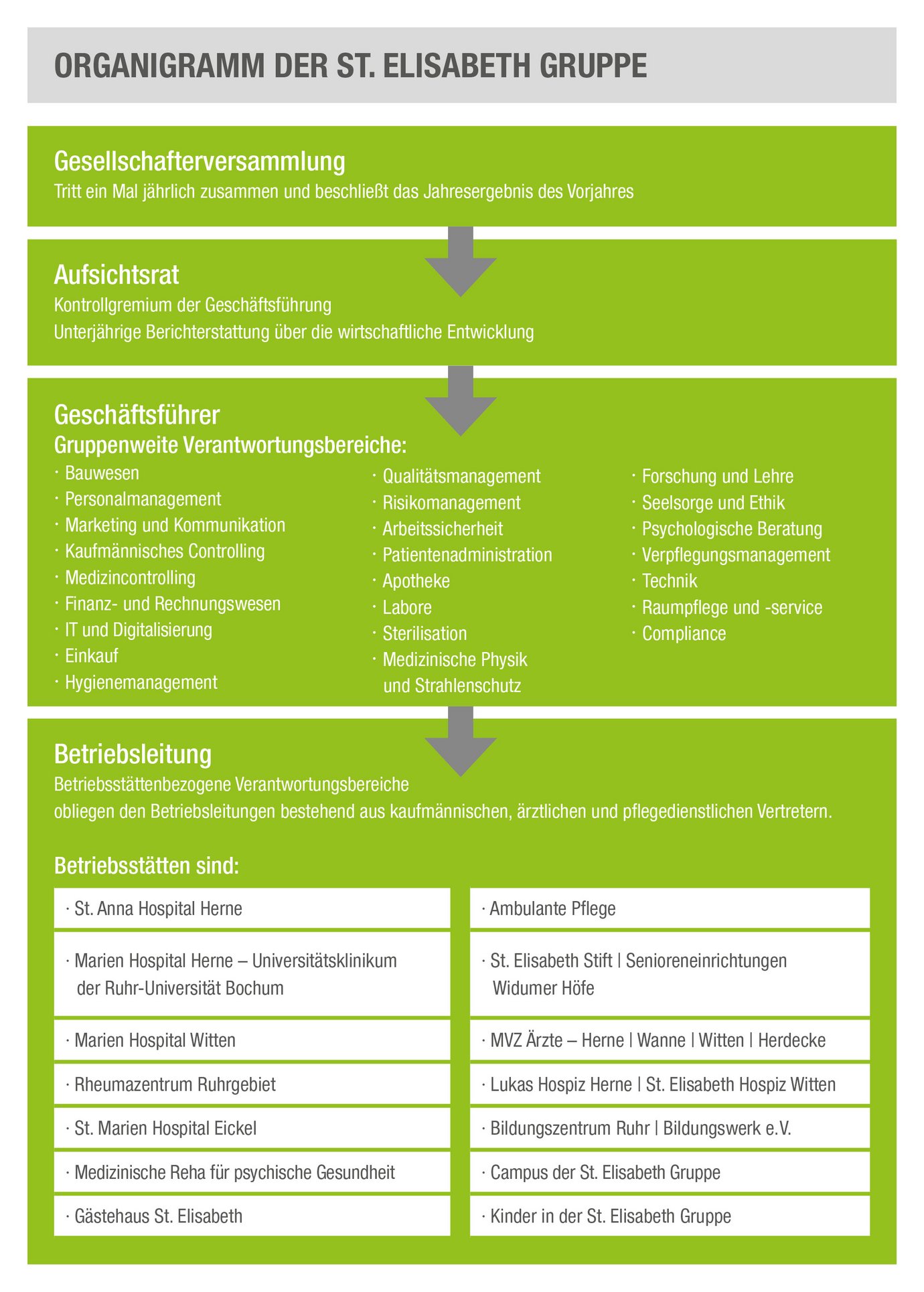 Grafik: Organigramm der St. Elisabeth Gruppe