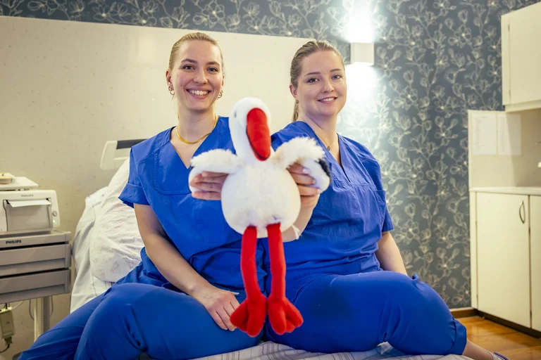 Hebammen Studium Teaserbild 