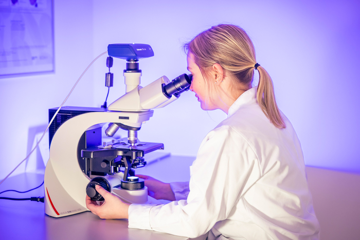 Mithilfe des Mikroskops kann eine Probe manuell untersucht werden – und liefert in einigen Fällen einen entscheidenden Hinweis für die weitere Diagnose bei einem Patienten sowie den Therapieansatz.